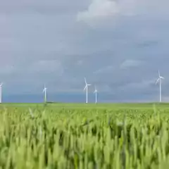 Wind turbines stand in a green field under a cloudy sky, generating renewable energy. The landscape features tall grass in the foreground and several wind turbines spread across the horizon.