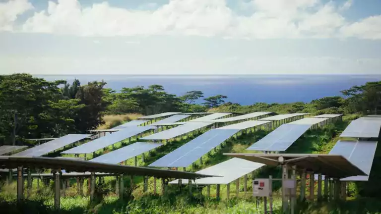 Rows of solar panels installed in a green field with trees and the ocean in the background under a partly cloudy sky.