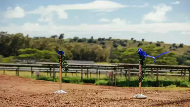 Two stanchions decorated with green garland and blue ribbons stand on a dirt track with a scenic background of trees and hills under a partly cloudy sky.