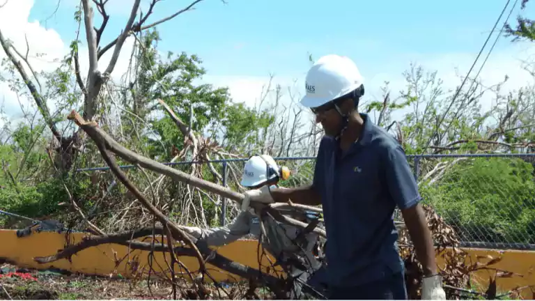 Two workers wearing helmets and gloves clear fallen branches after a storm, with damaged trees and debris visible in the background under a blue sky.