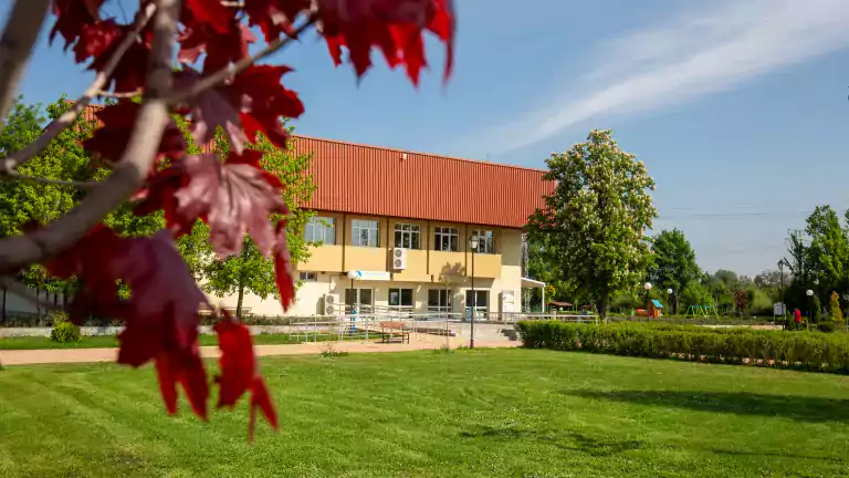 A yellow building with a red roof stands behind a green lawn and trees on a sunny day. Red leaves from a nearby tree are visible in the foreground, and a playground with swings is in the background.