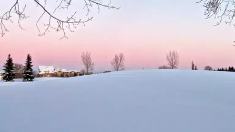 Snow-covered hill with bare trees in the foreground and evergreen trees in the background, under a pastel pink and blue sky at sunset.