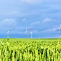 Wind turbines stand in a lush green field under a cloudy blue sky, generating renewable energy in a rural landscape.