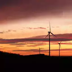Silhouettes of wind turbines on a field at sunset with a colorful sky of orange, pink, and purple clouds.