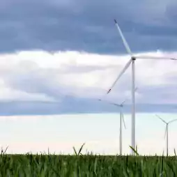 Four wind turbines stand in a green field under a cloudy sky, generating renewable energy in a rural landscape.