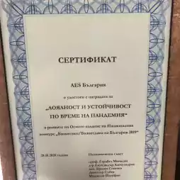 Framed certificate awarded to AES Bulgaria for loyalty and resilience during the pandemic, as part of the Eighth National Businessman/Businesswoman of Bulgaria 2019 competition. The certificate is bordered with a blue decorative pattern and contains signatures of the Economic Council members.