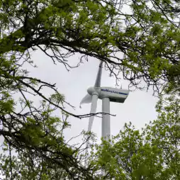 A wind turbine with the brand name Vestas is visible through the branches of green-leaved trees against a cloudy sky.