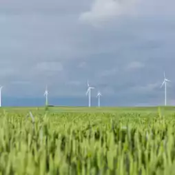Wind turbines stand in a green field under a cloudy sky, generating renewable energy in a rural landscape.