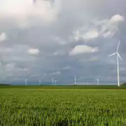 A wide green field with several wind turbines under a cloudy sky, showing renewable energy production in a rural landscape.