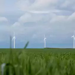 Four wind turbines stand in a green field under a cloudy sky, generating renewable energy in a rural landscape.