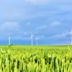 Several wind turbines stand in a green field under a cloudy blue sky, illustrating renewable energy and sustainable agriculture.